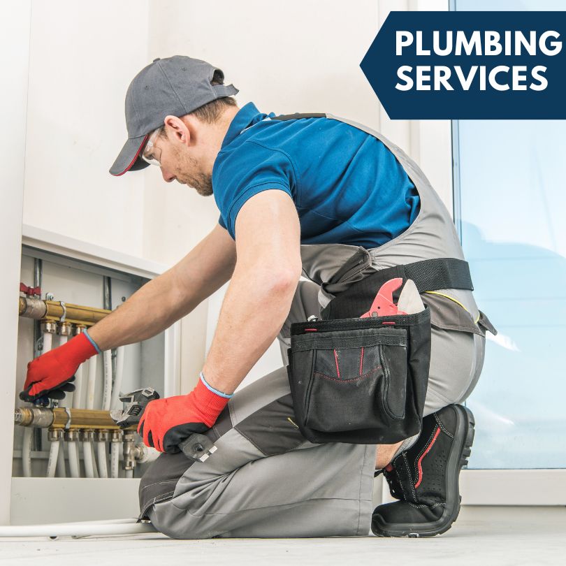 Tacna Plumbing Company